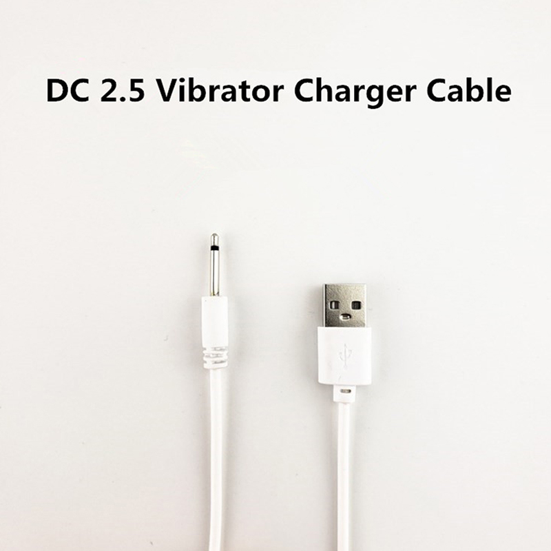【C】Universal USB DC 2.5mm Vibr - Renewable Energy Sources ulasan dan harga